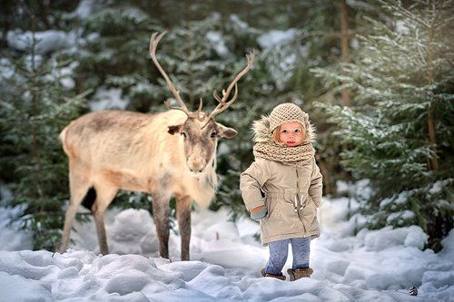 В зимнем лесу
