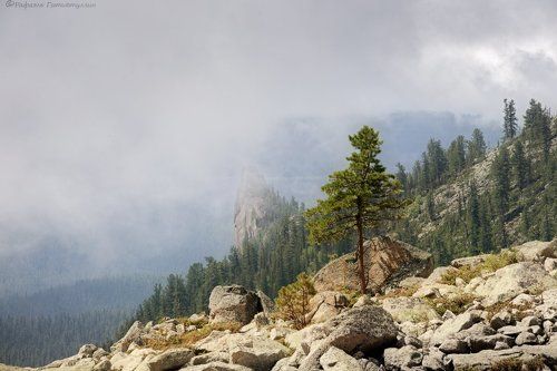 Одинокая скала