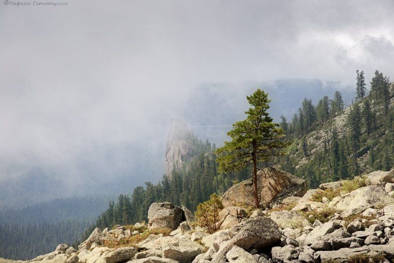 Горы, ГорыЗападные СаяныКрасноярский к, Западные Саяны, Красноярский край, Лето, Национальный парк Ергаки, Скала, Туман Одинокая скала фото превью