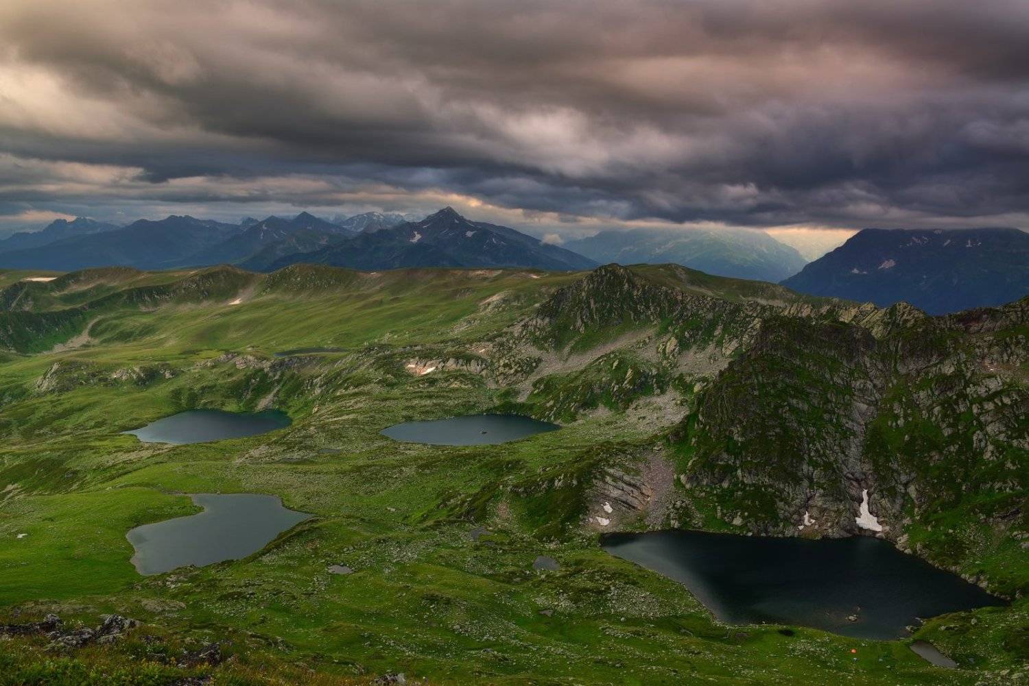 , Максим Евдокимов ( www.wildphotorus.ru )