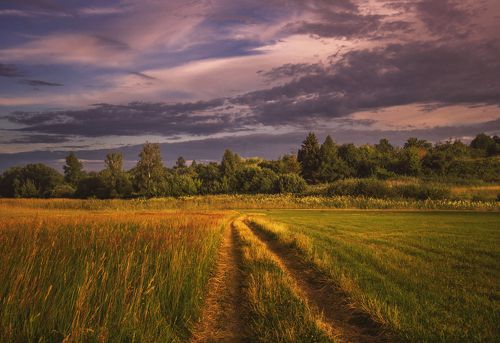 Последние лучи солнца перед грозой