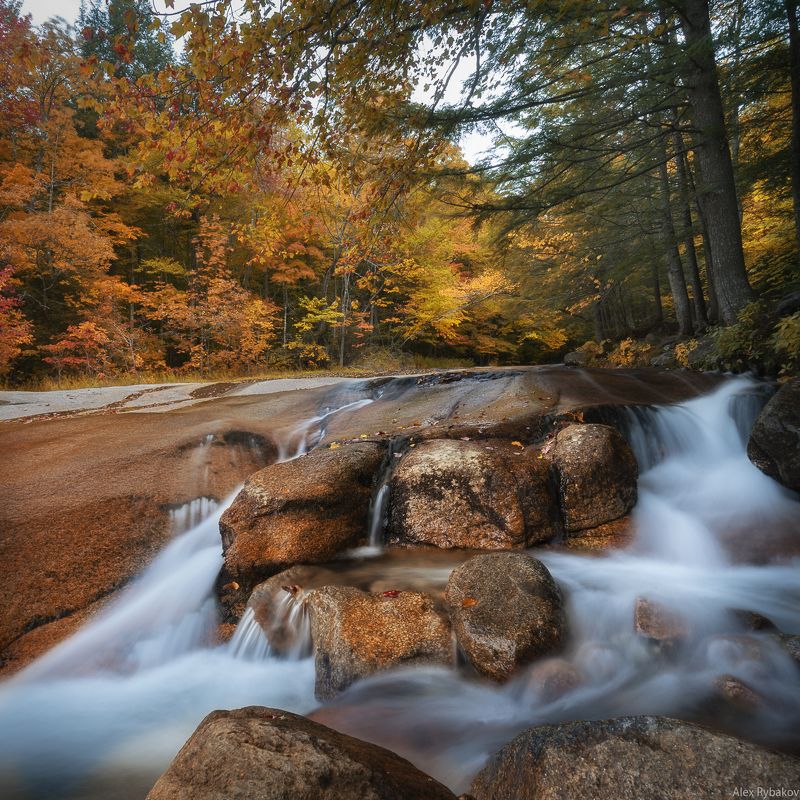 USA, travel,  Золотая осень фото превью