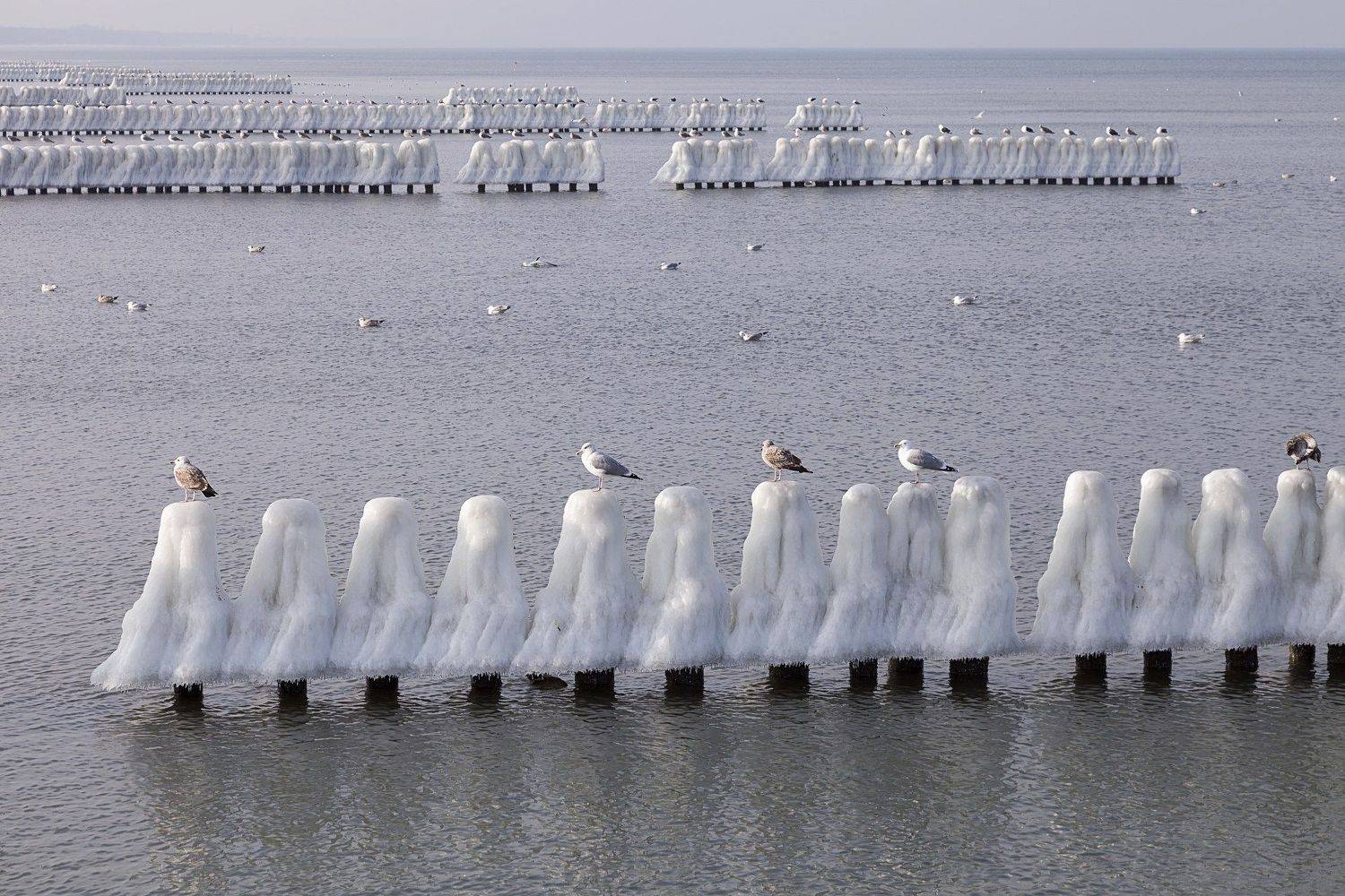 winter, baltic,, Anna