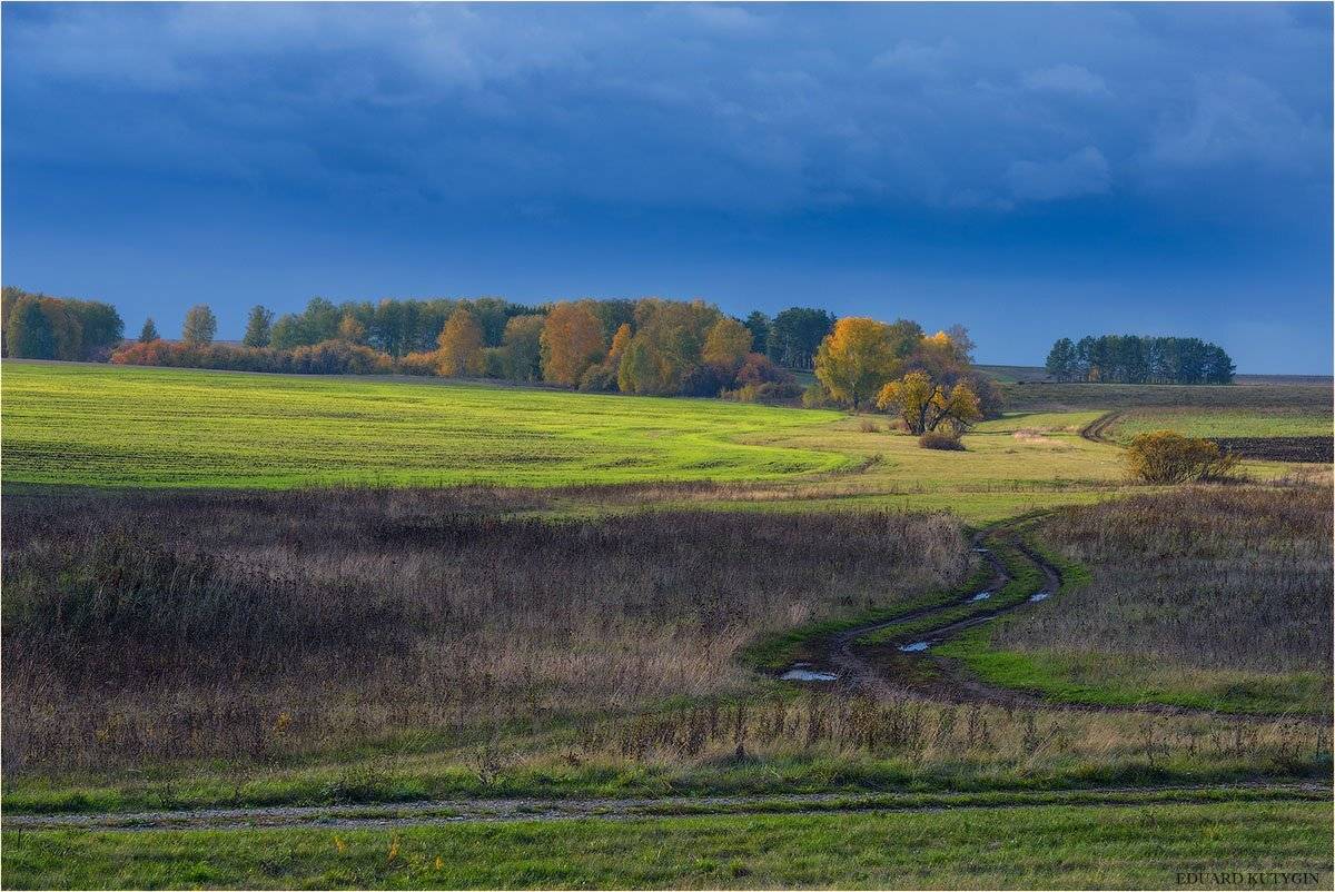 Кутыгин, Зауралье, уборочная, Курганская, стога, солома, сено, , Кутыгин Эдуард