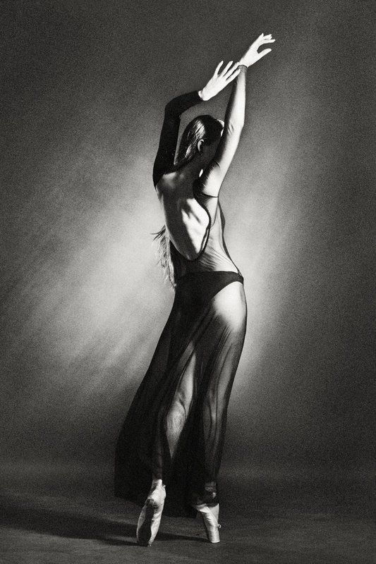 танец, пластика, тело, выразительность, изящество, лиричное, романтичное, монохромное, art, студийное, концептуальное, философское, созерцание, графическое, beauty, рассказ, повесть, поэзия, волосы, ветер, движение, davydov, art foto, fine art Триптих фото превью