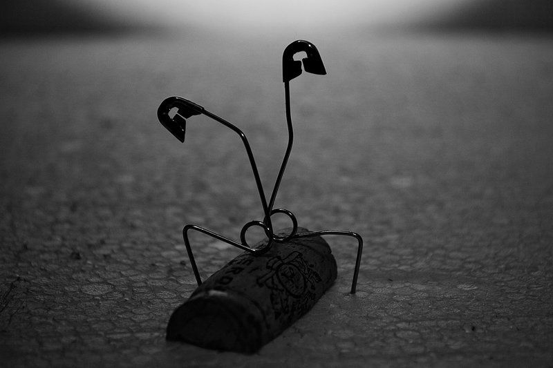 Провинился. фото превью