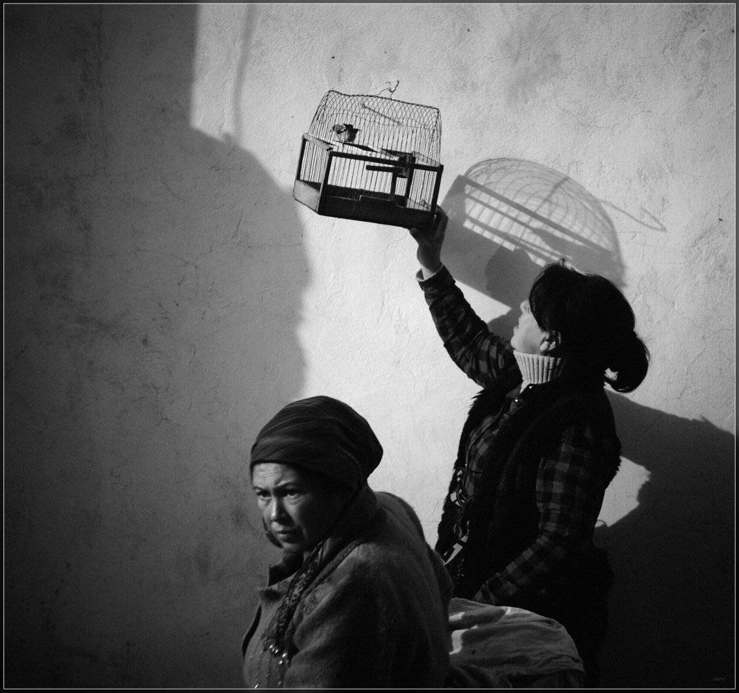 , Ильдар Садыков