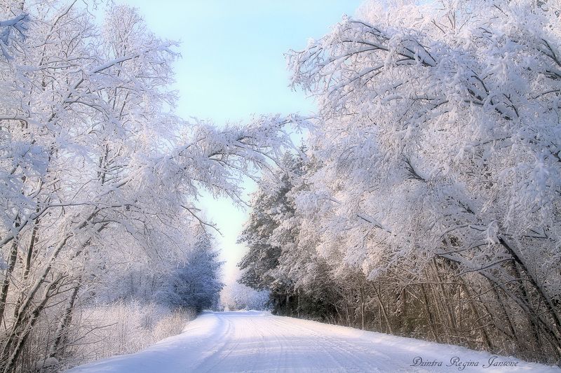 mist, winter, snow, blue, trees, winters landscape, road,  country winters celebration фото превью