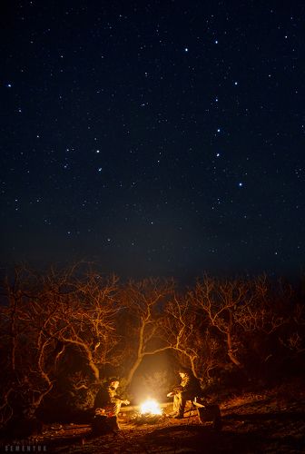 Под Большой Медведицей.