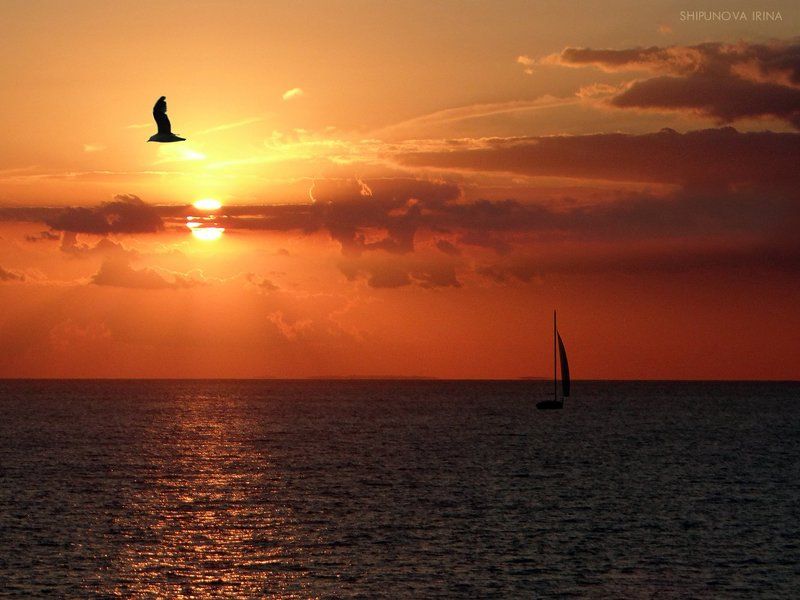 Nostalgia фото превью