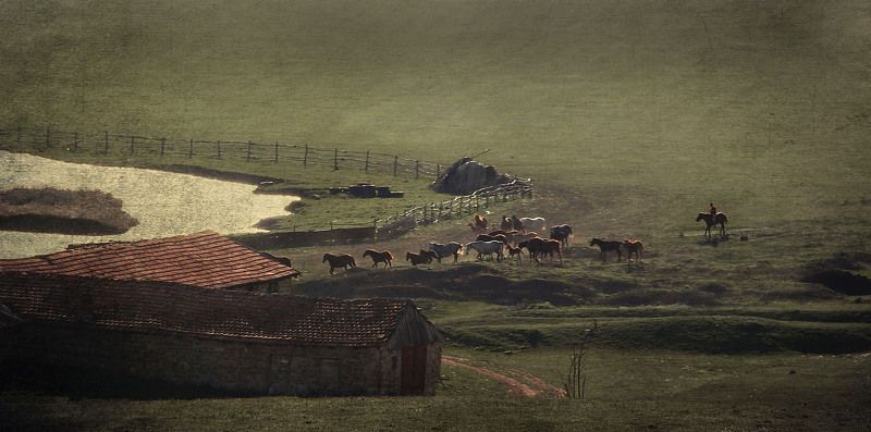 Ходят кони над рекою фото превью