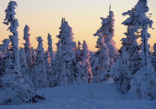 Pro неторопливый вечер на горе Зелёной
