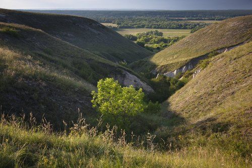 Дивногорский каньон