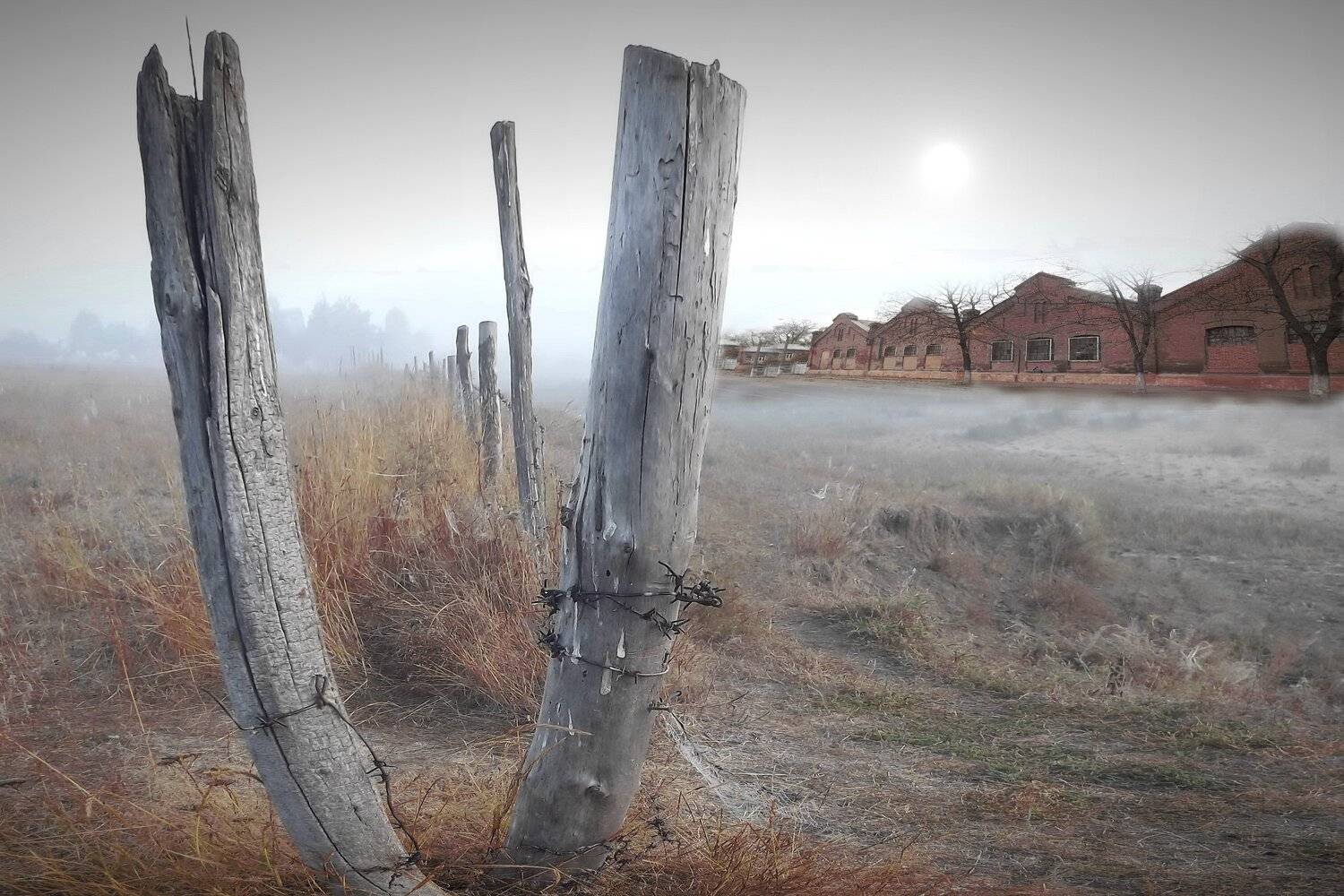 одесса, Сергей Кошелев