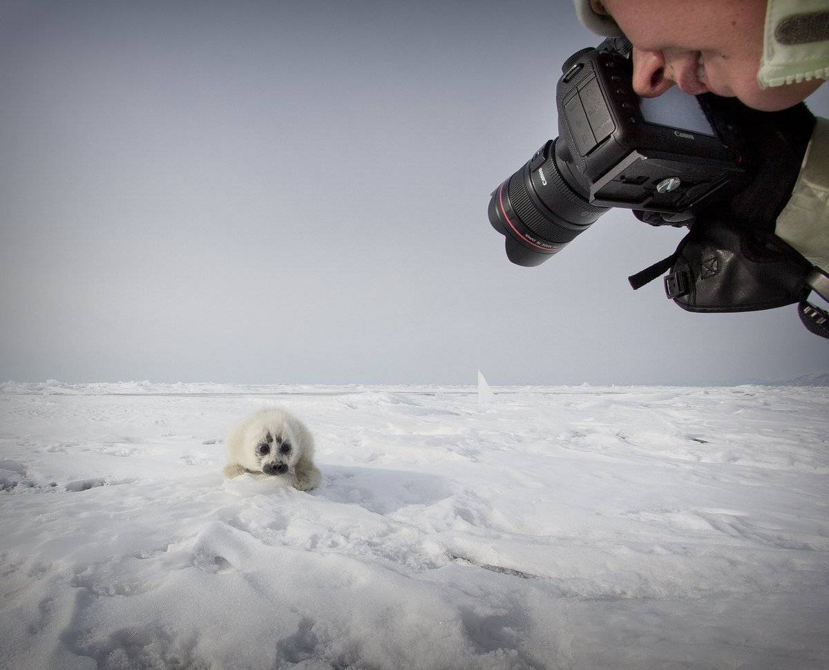 байкал, Алексей Трофимов