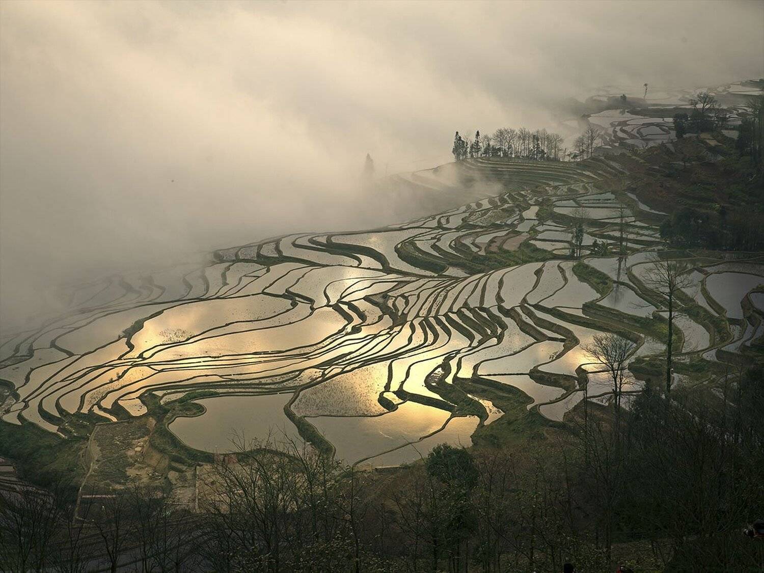 yuanyang hani terrace - china, IM MYONG SUK