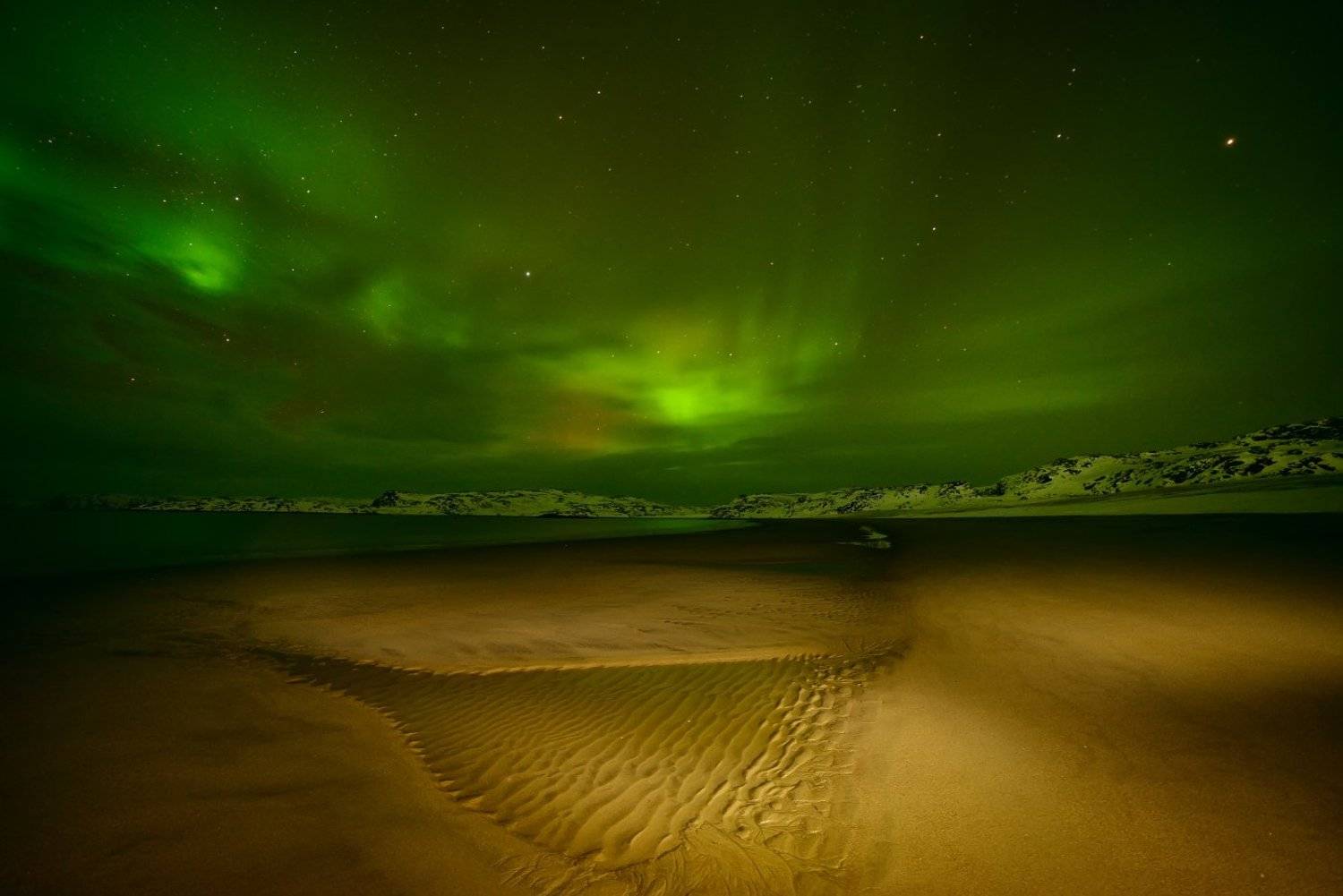 , Максим Евдокимов ( www.wildphotorus.ru )