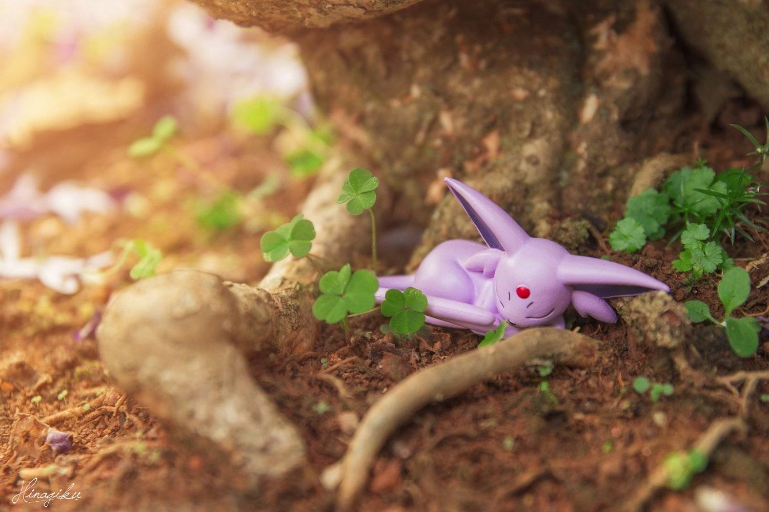 , Hinagiku Photography - Bảo L&acirc;m