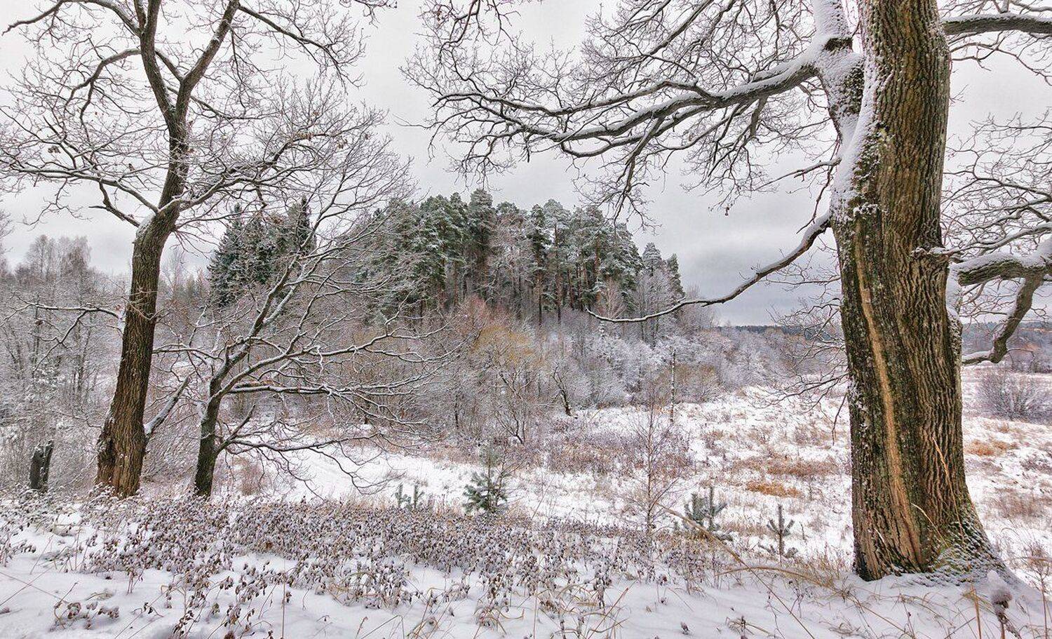 , Николай Андреев