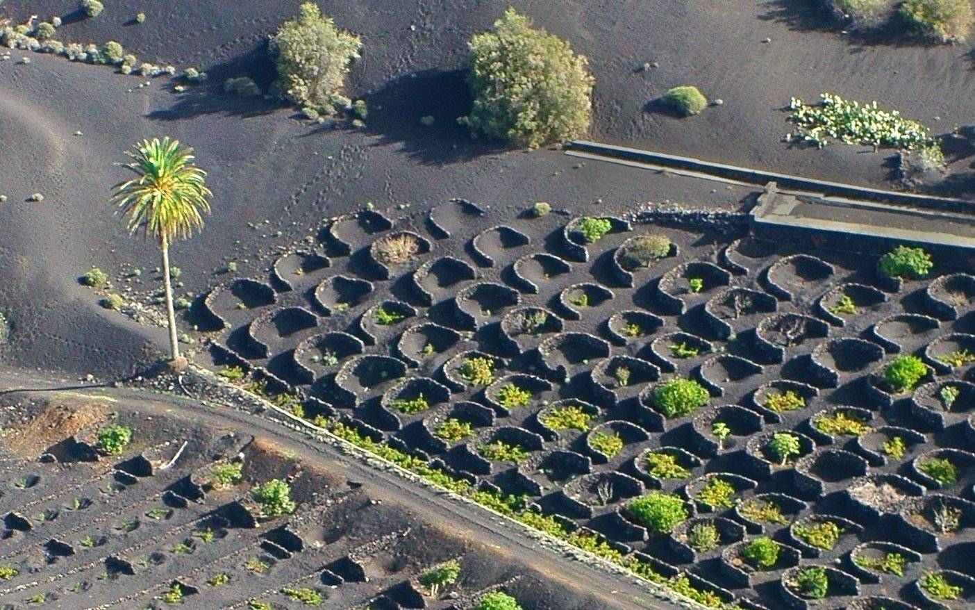 Испания, Канарские острова, Лансароте, aerial, Борис Резванцев