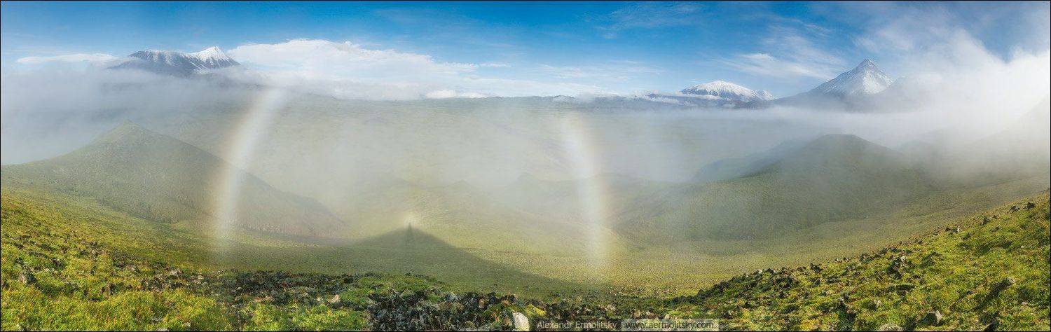 , Александр Ермолицкий