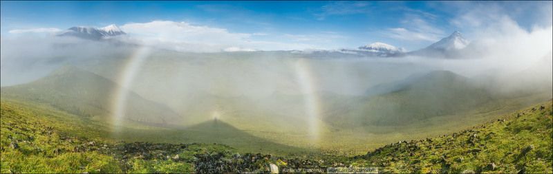 ~ Небесные стражи ~ фото превью