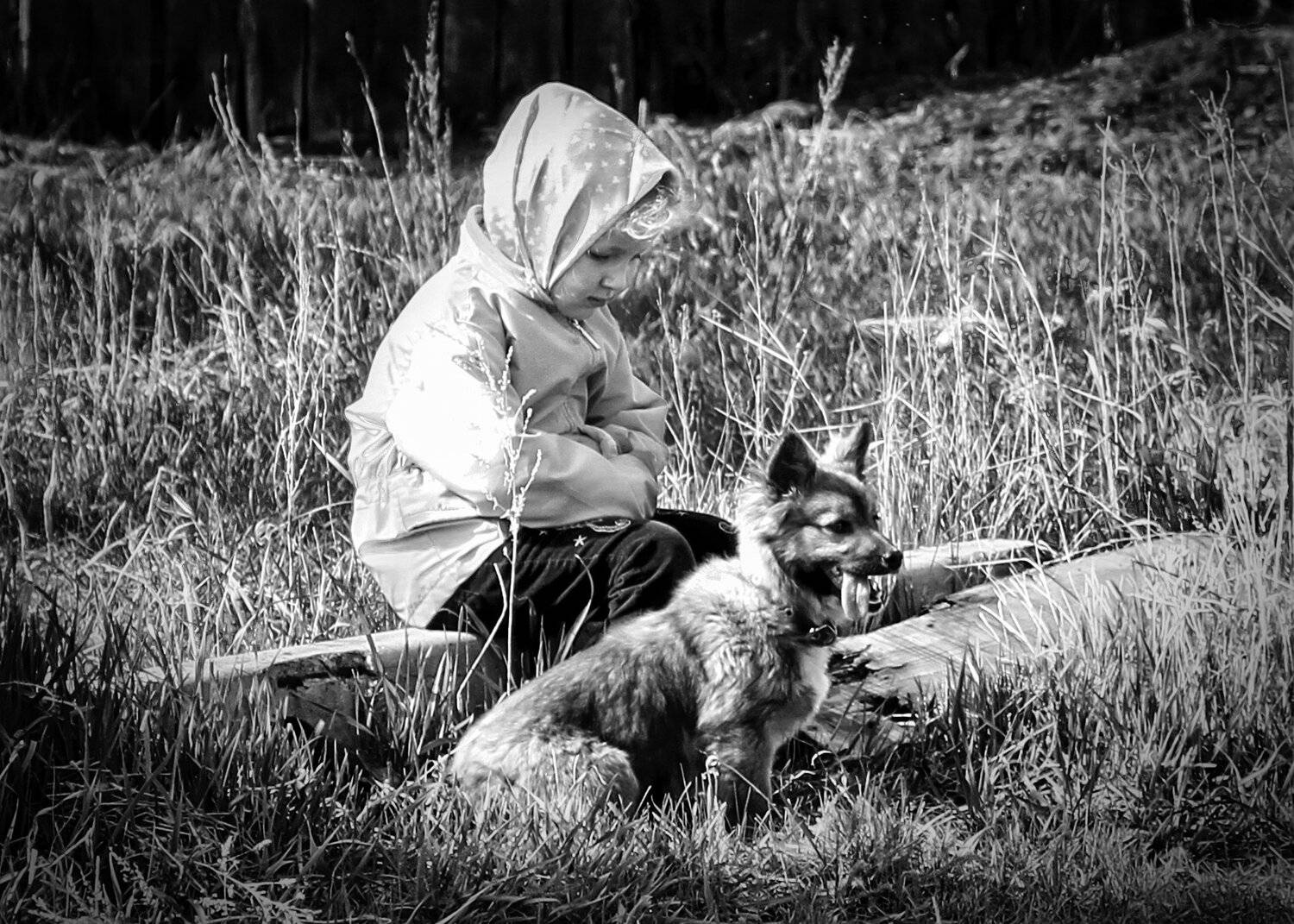 , Сергей Евдокимов