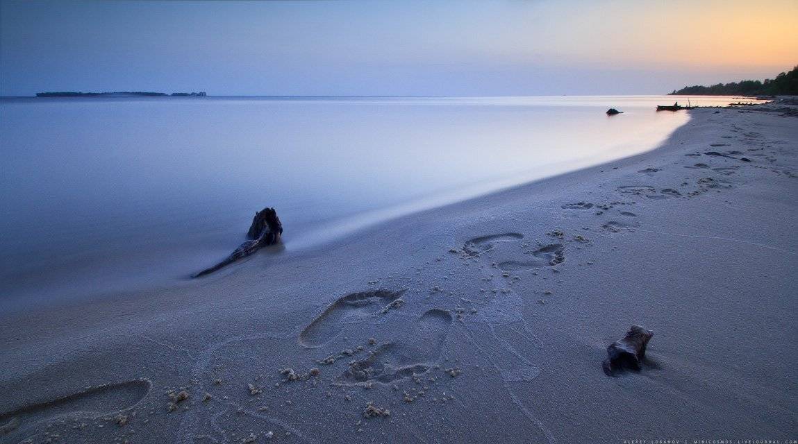 рыбинское, Алексей Лобанов