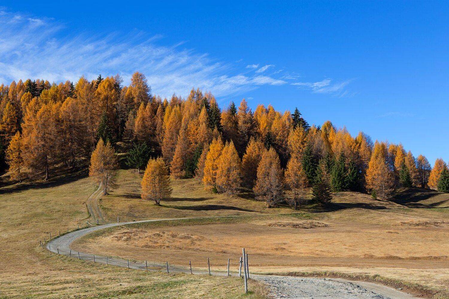 , Игорь Дубровский