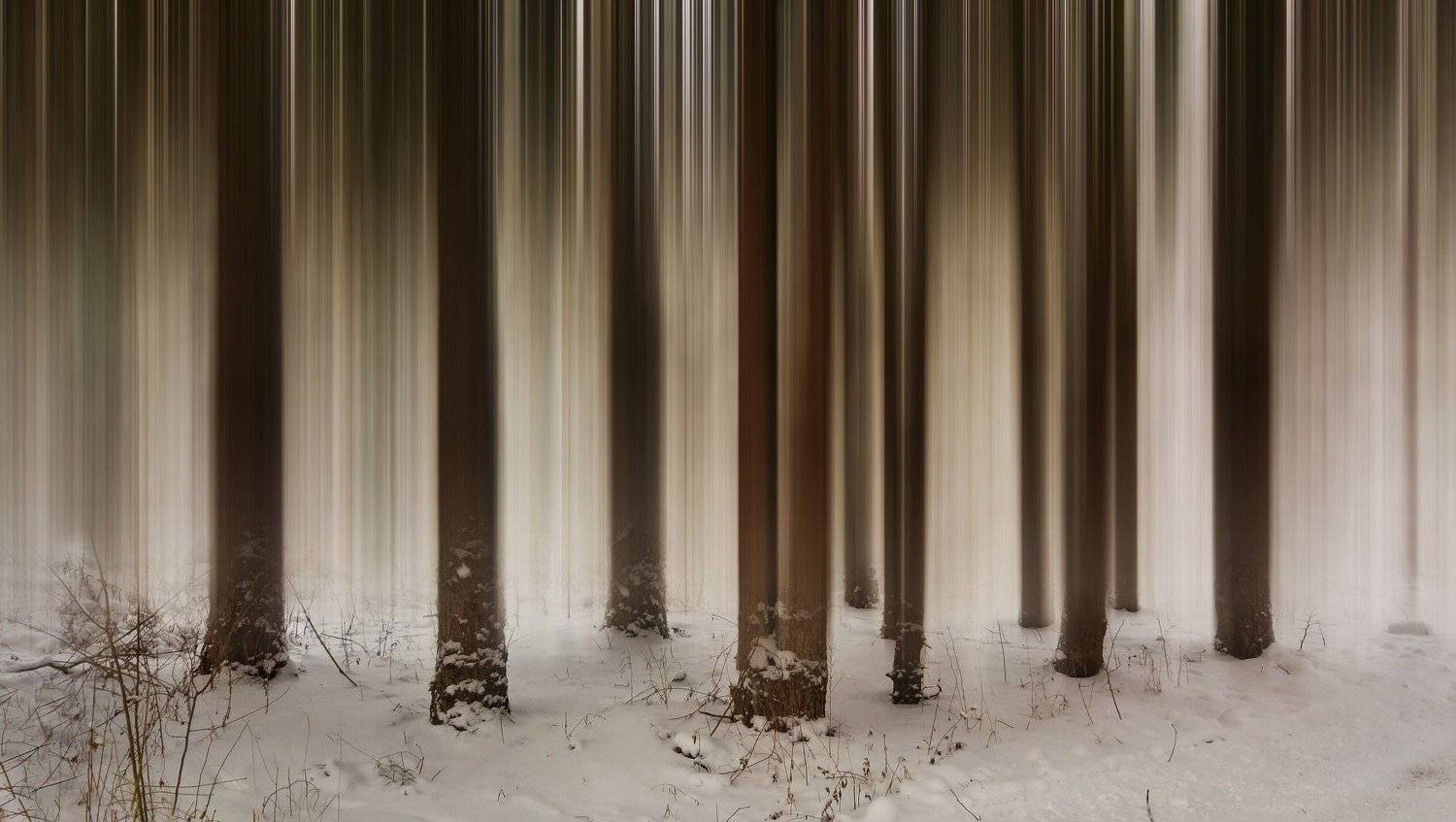 ceclii, lgg4, Tsvetan Ganev