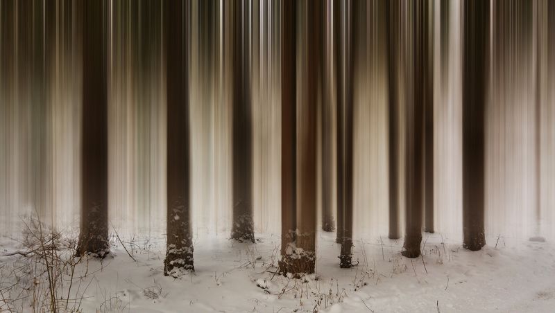 ceclii, lgg4  фото превью