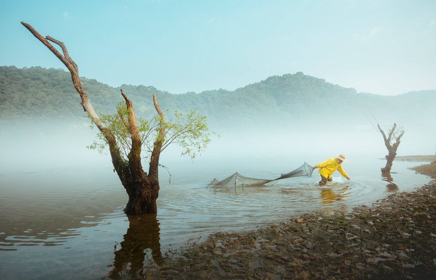korea, Nathaniel Merz