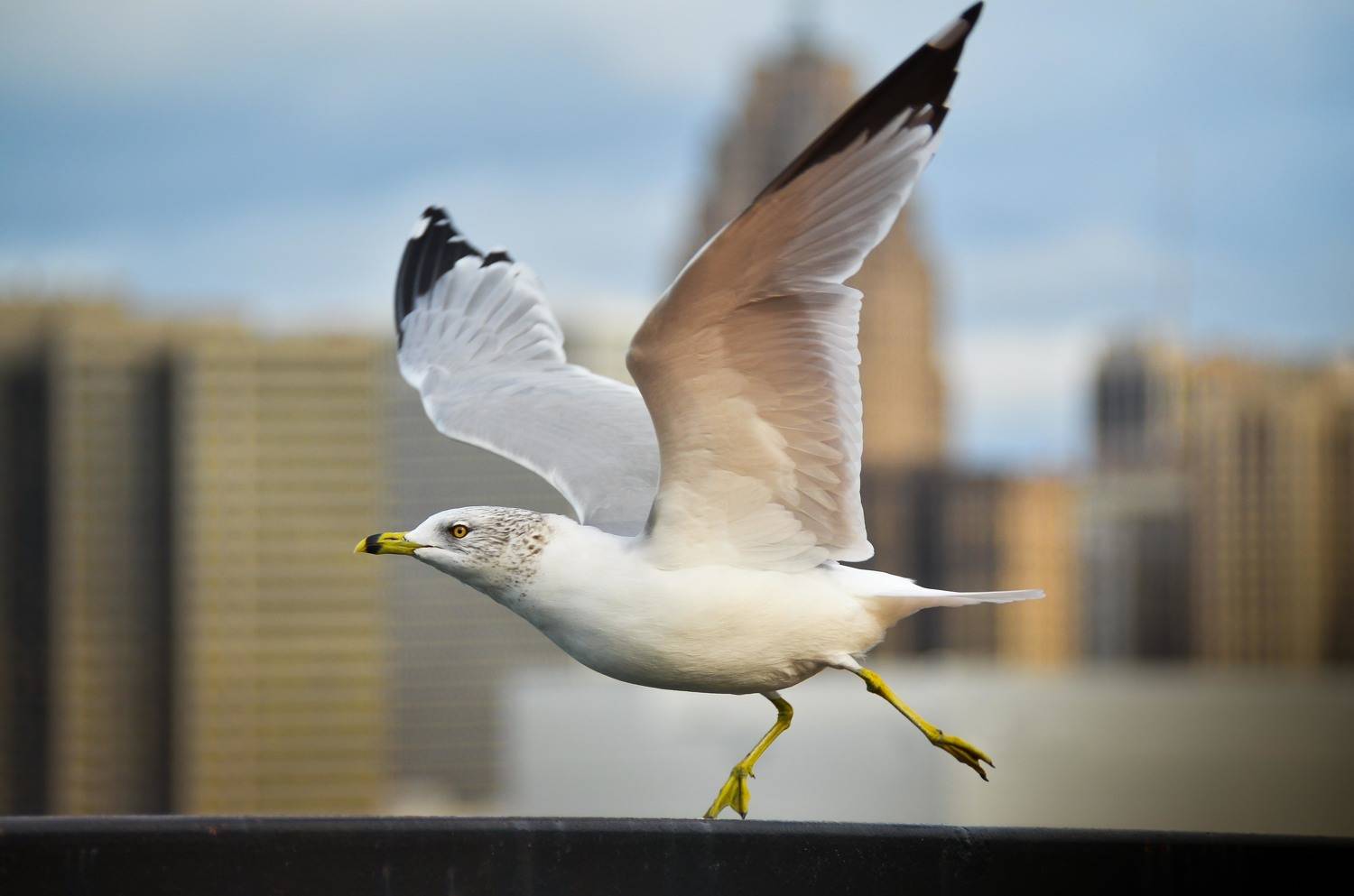 , Андрей Степанов