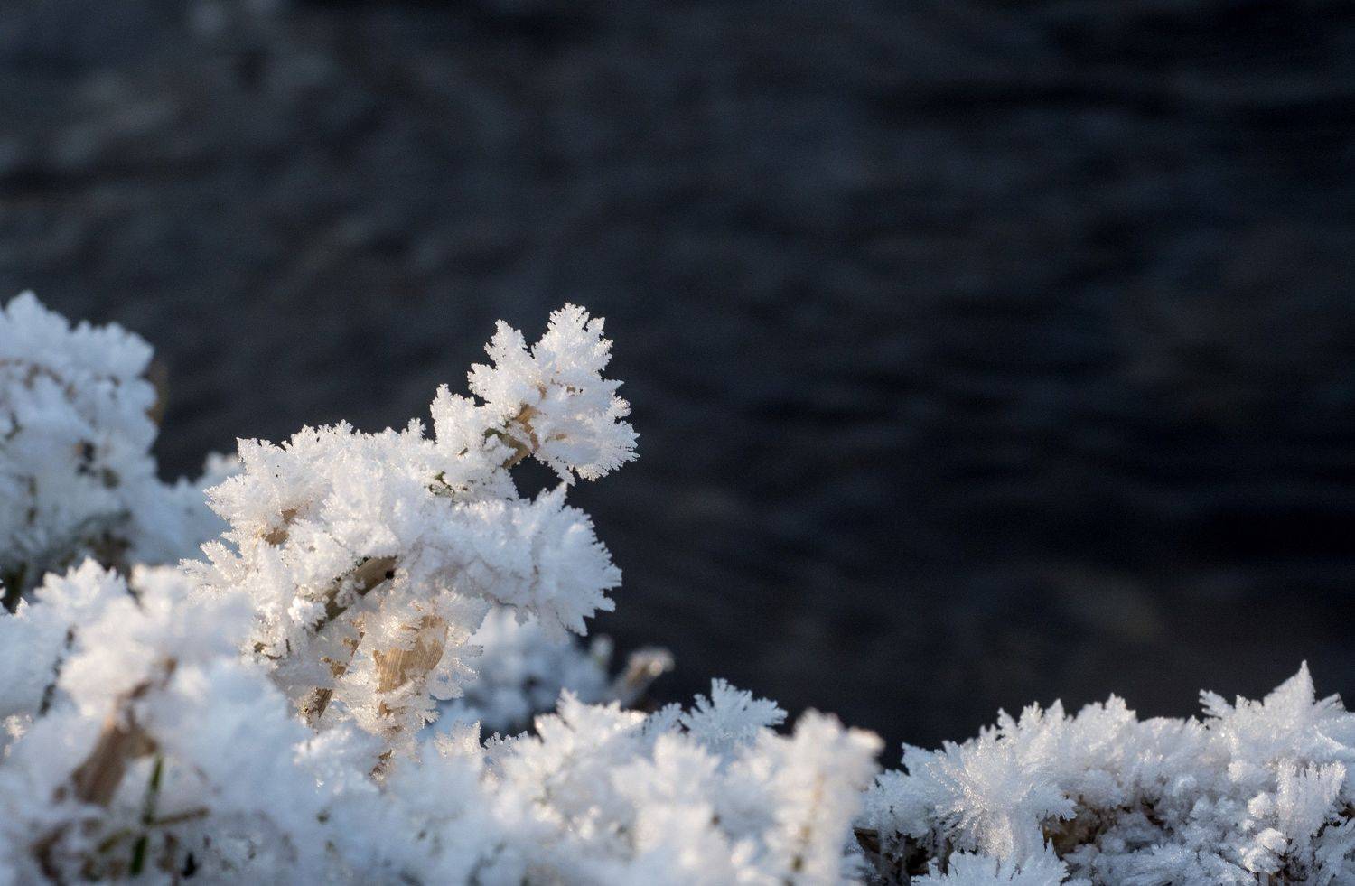 , Яэль (Юлия Ситохова)