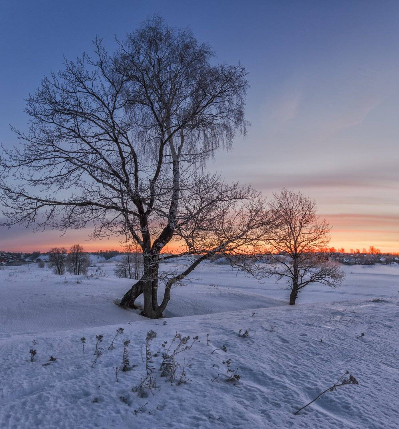 , Николай Андреев