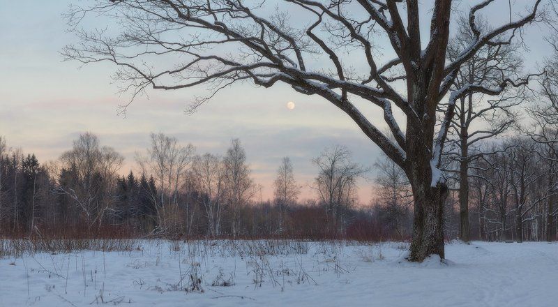 пушкин, царское село, спб, питер, зима Вы говорите, что февраль суров..? фото превью