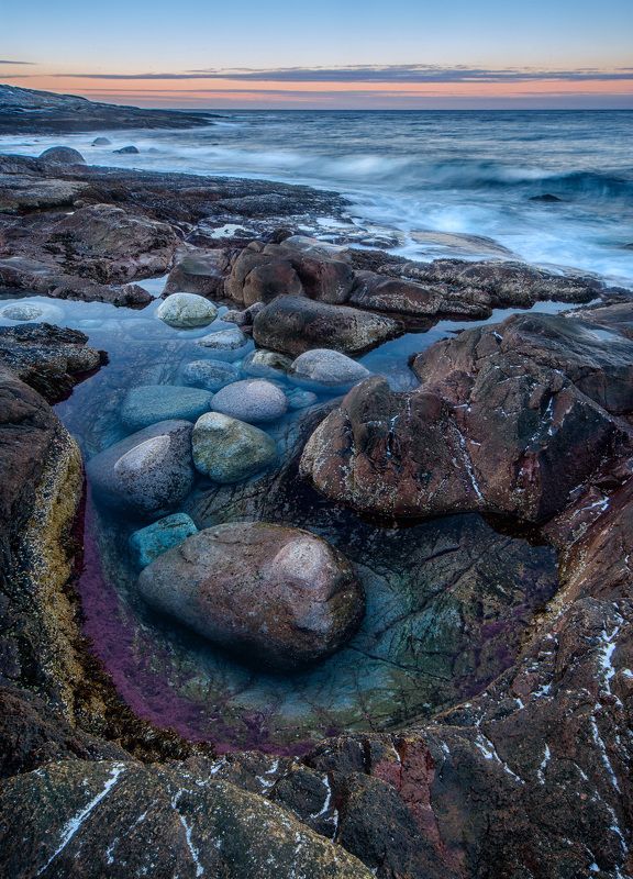 Северный цвет фото превью