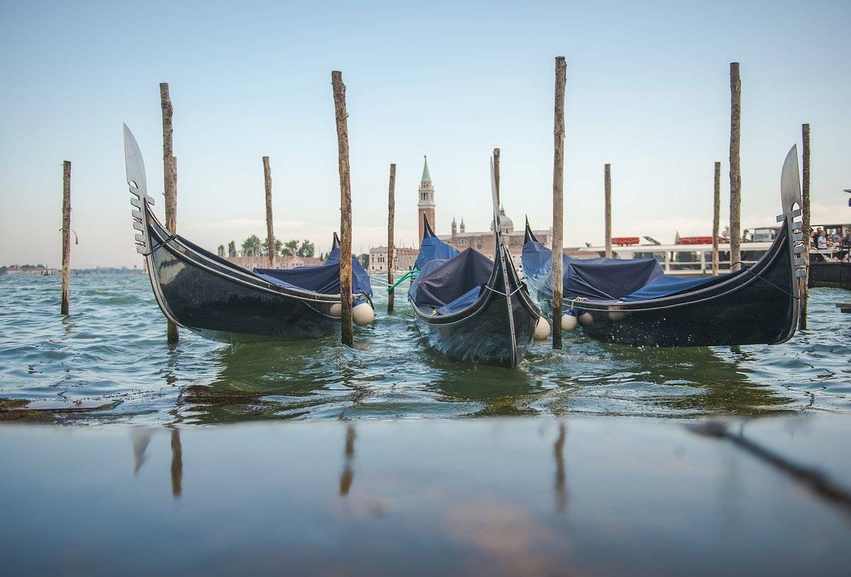 гондолы, Александр Маркелов