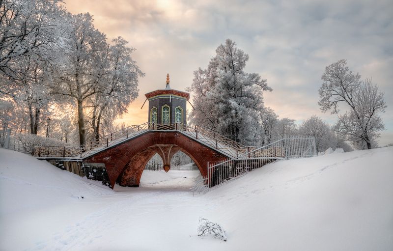 про пушкинские башни фото превью