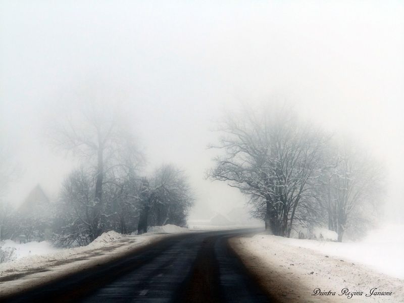 mist, winter, snow, grey, trees, winters landscape, road,  country roads in the mist фото превью