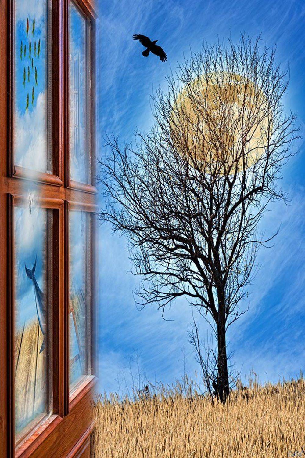 art, concept, conceptual, color, colors, color image, collage, composing, digital, digital art, door, editing, moon, photography, photo collage, surreal, surrealism, tree,, Dr Didi Baev