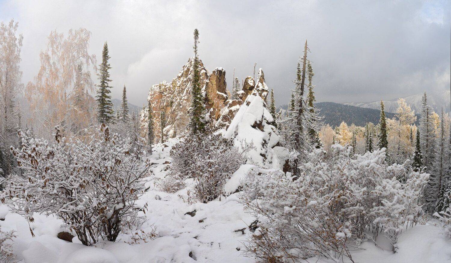 , Лещёнок Александр