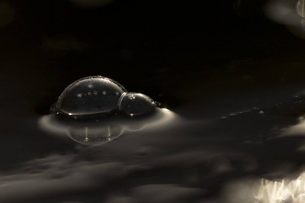 , Иваненко Светлана