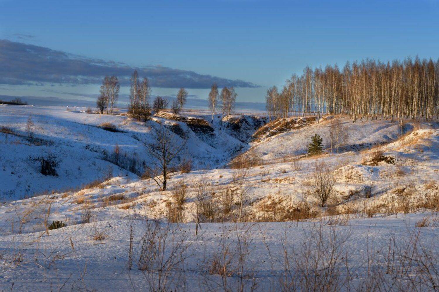 зима,природа,пейзаж,вечер,закат,березы,пригорок,небо,облака, Юлия Лаптева