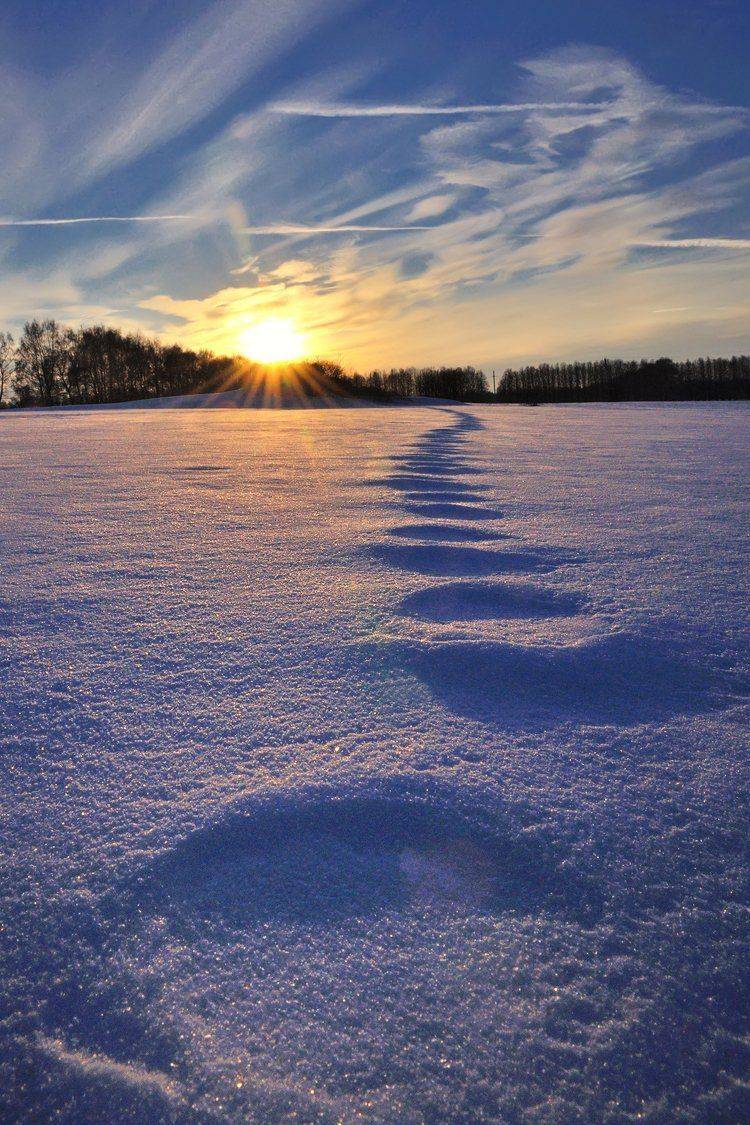 зима, январь, пейзаж, закат, следы,nikon, Лопухов Сергей