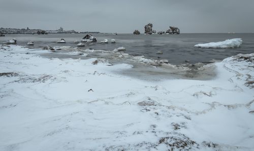 Зимовка камней-черноморов.