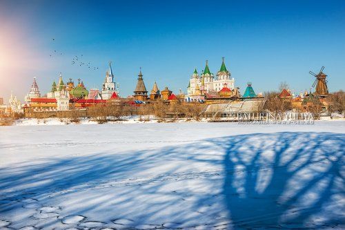 Баобаб в северных широтах