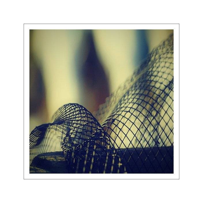 Netting lll. Автор: František Uhler , František Uhler
