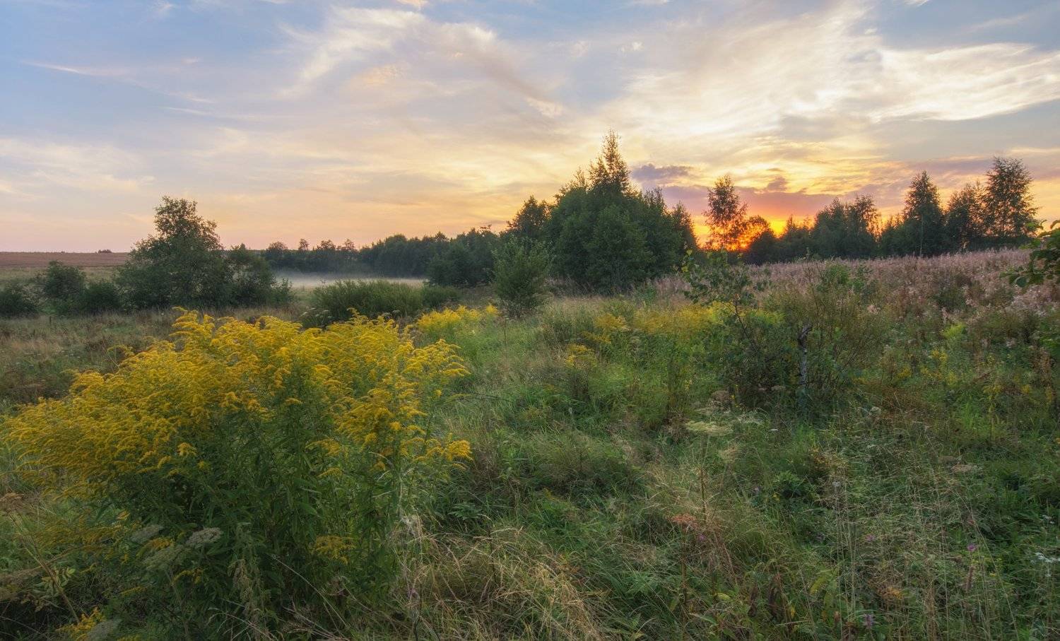 , Курдюков Михаил