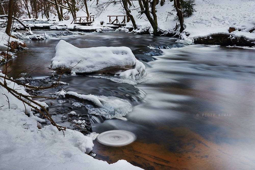 Tanew, Poland, East, Snow, Piotr Nowak